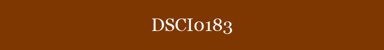 DSCI0183