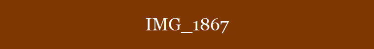 IMG_1867
